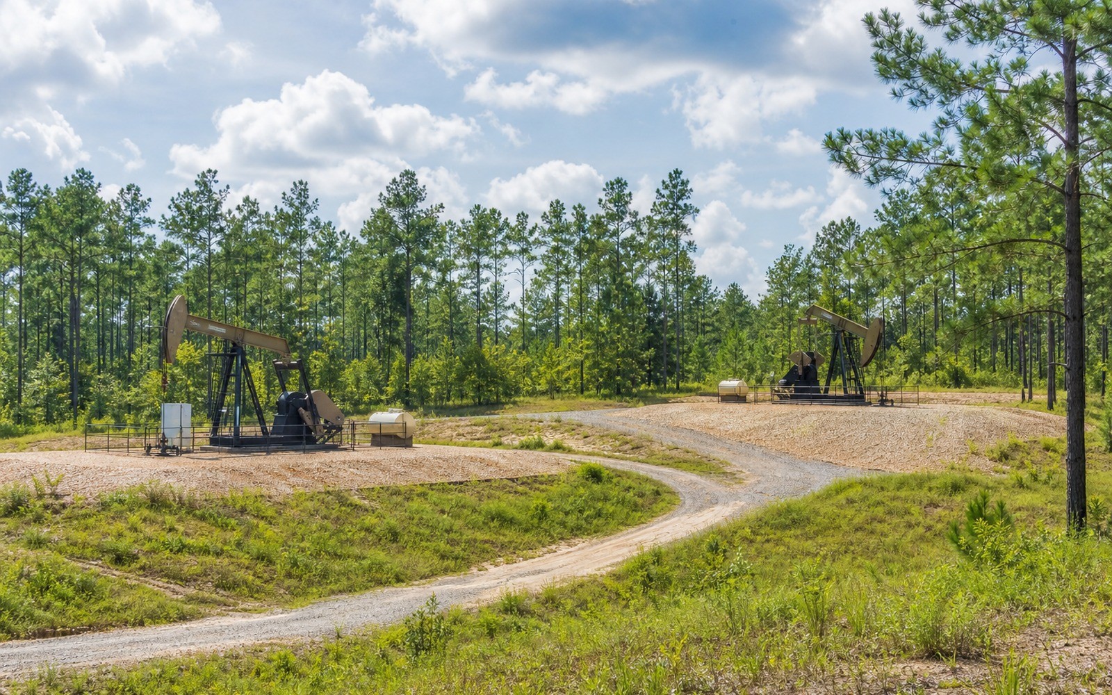Black Warrior Basin Mineral Rights Black Warrior Basin Mineral Rights