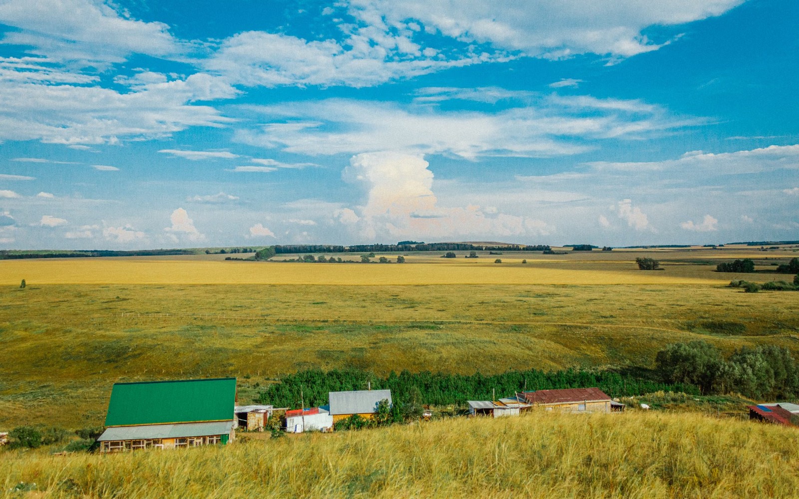 1031 From Farmland Into Minerals