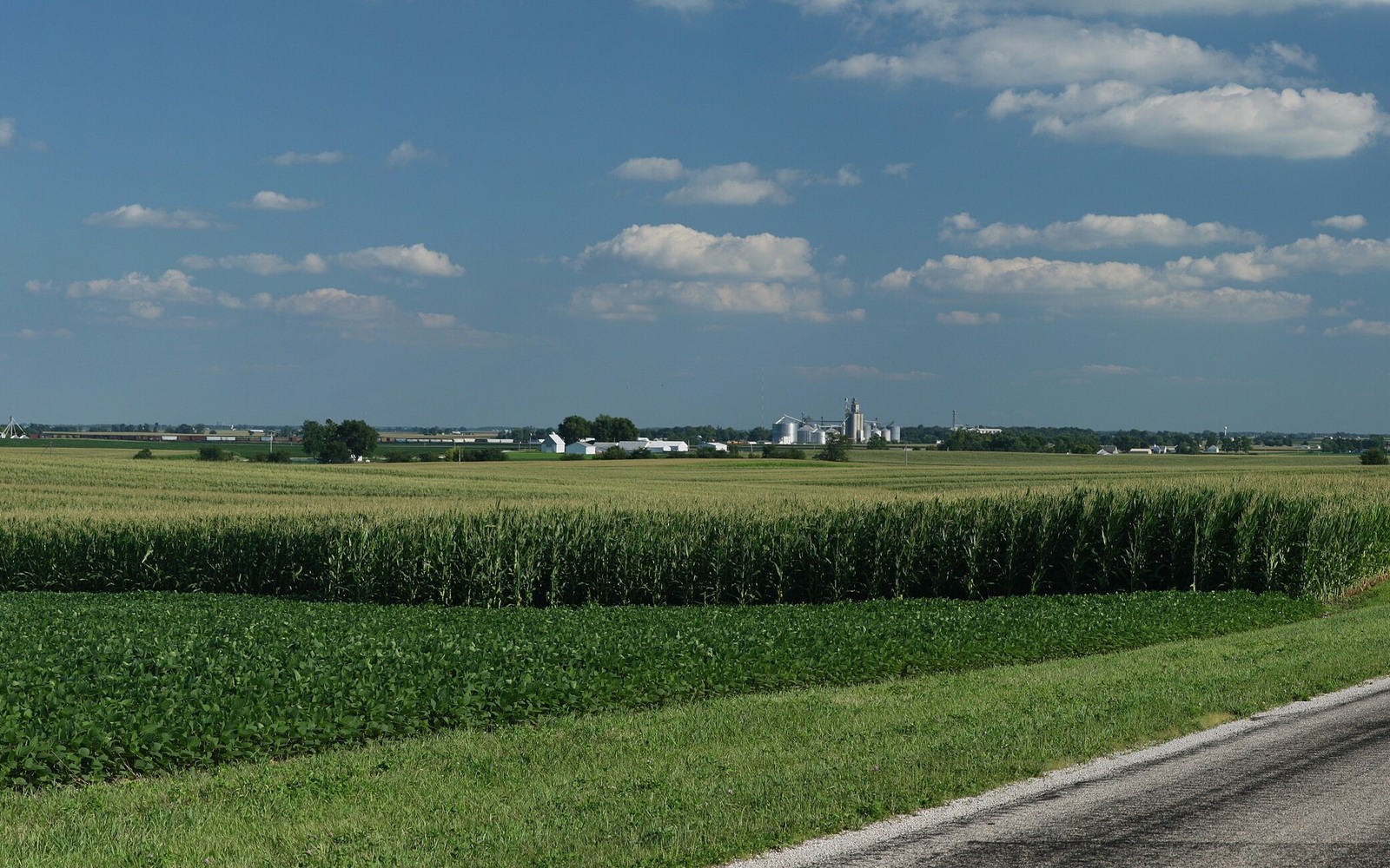 Sell Mineral Rights in Illinois Sell Mineral Rights in Illinois
