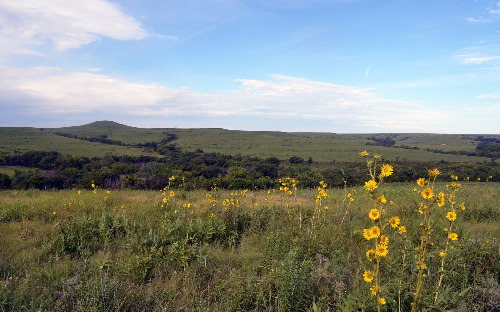 Sell Mineral Rights in Kansas Sell Mineral Rights in Kansas