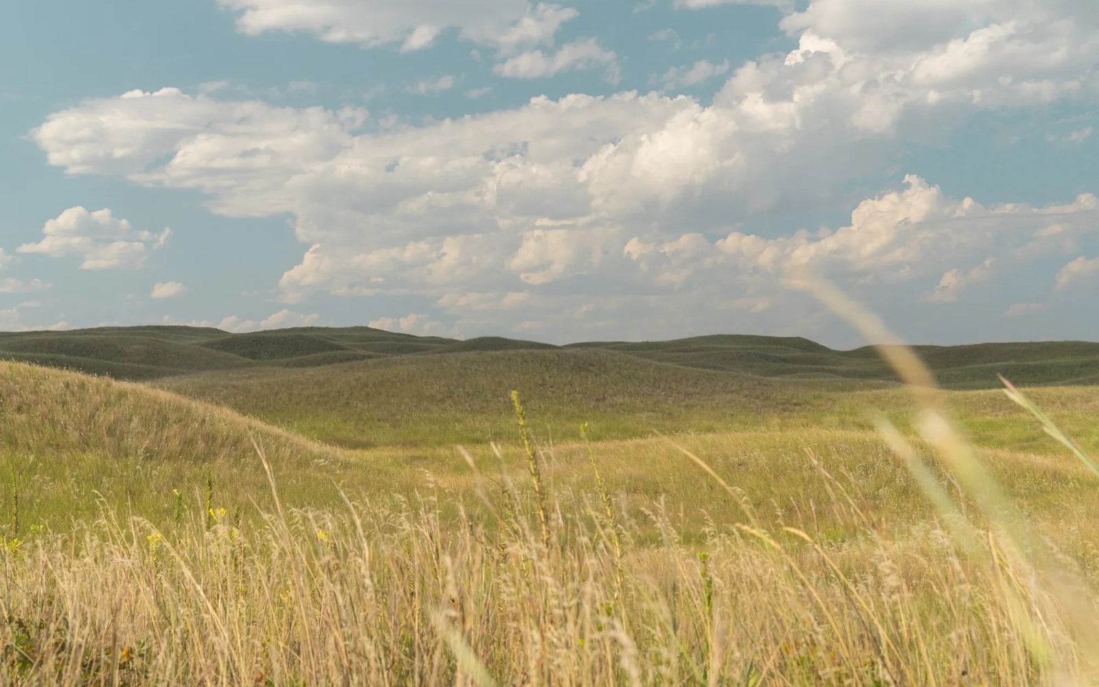 Sell Mineral Rights in Nebraska Sell Mineral Rights in Nebraska