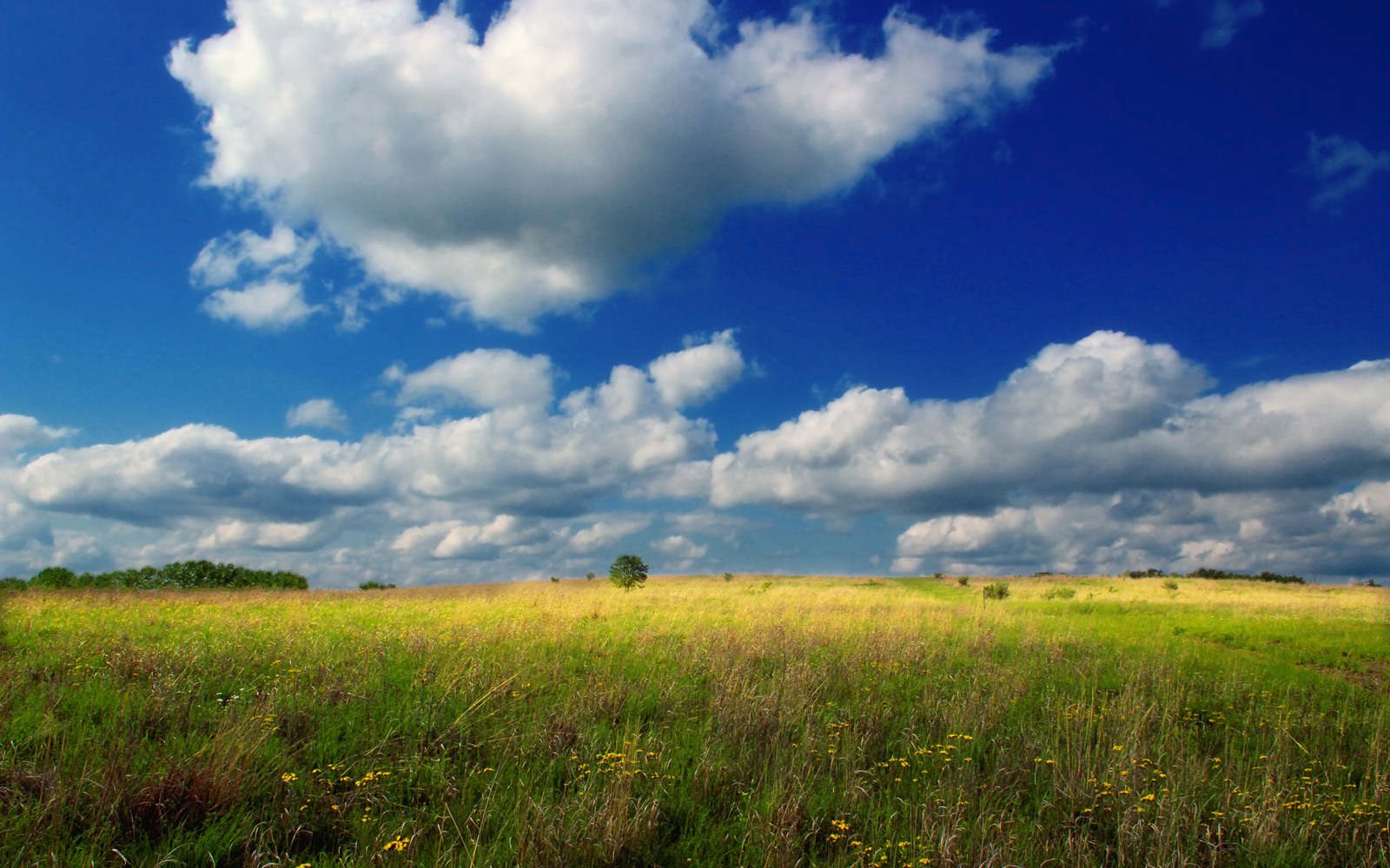 Sell Mineral Rights in Pennsylvania Sell Mineral Rights in Pennsylvania